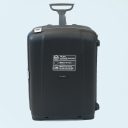 Samsonite,  , d19.018.078